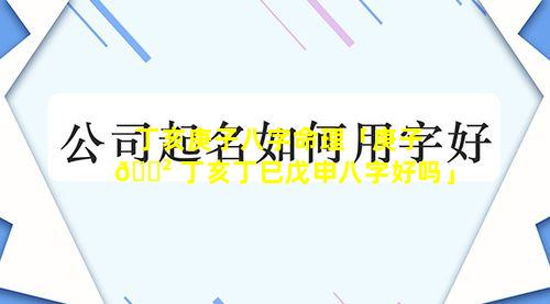 丁亥庚子八字命理「庚子 🌲 丁亥丁巳戊申八字好吗」